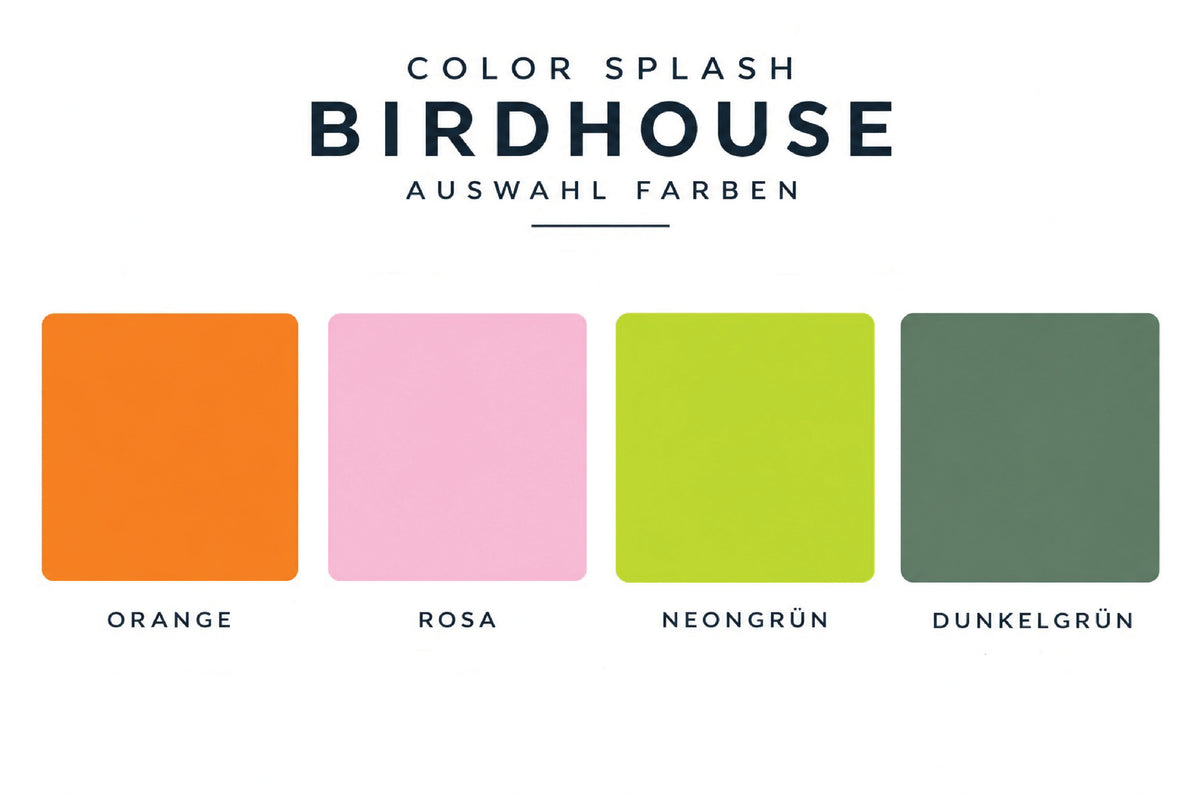 Color Splash Birdhouse